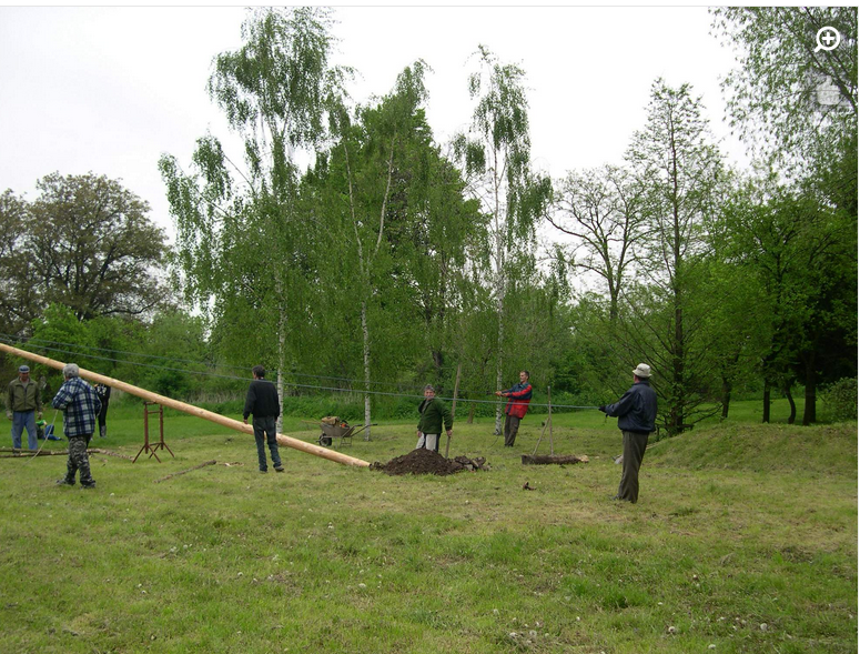 2014- stavění a kácení máje